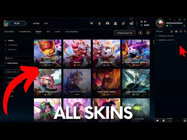 Video thumbnail for How many Skins are in League of Legends 2023 - All SKINS in LOL