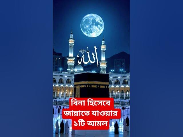 Video thumbnail for বিনা হিসেবে জান্নাতে যাওয়ার ১টি আমল#shorts #viral#sheikh_ahmadullah#islamicalortips