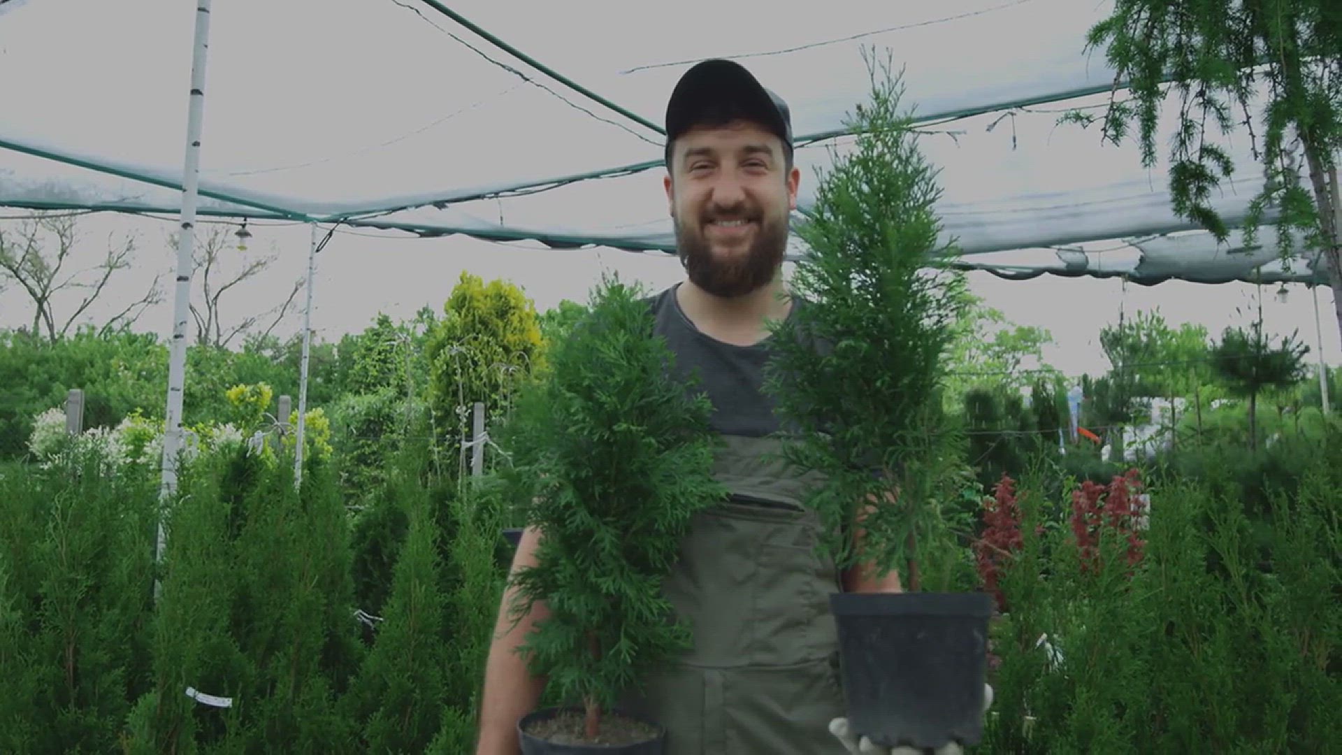 'Video thumbnail for How to Build an Indoor Garden'