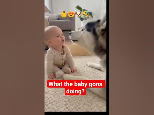 Video thumbnail for #funny #dog #children #kids