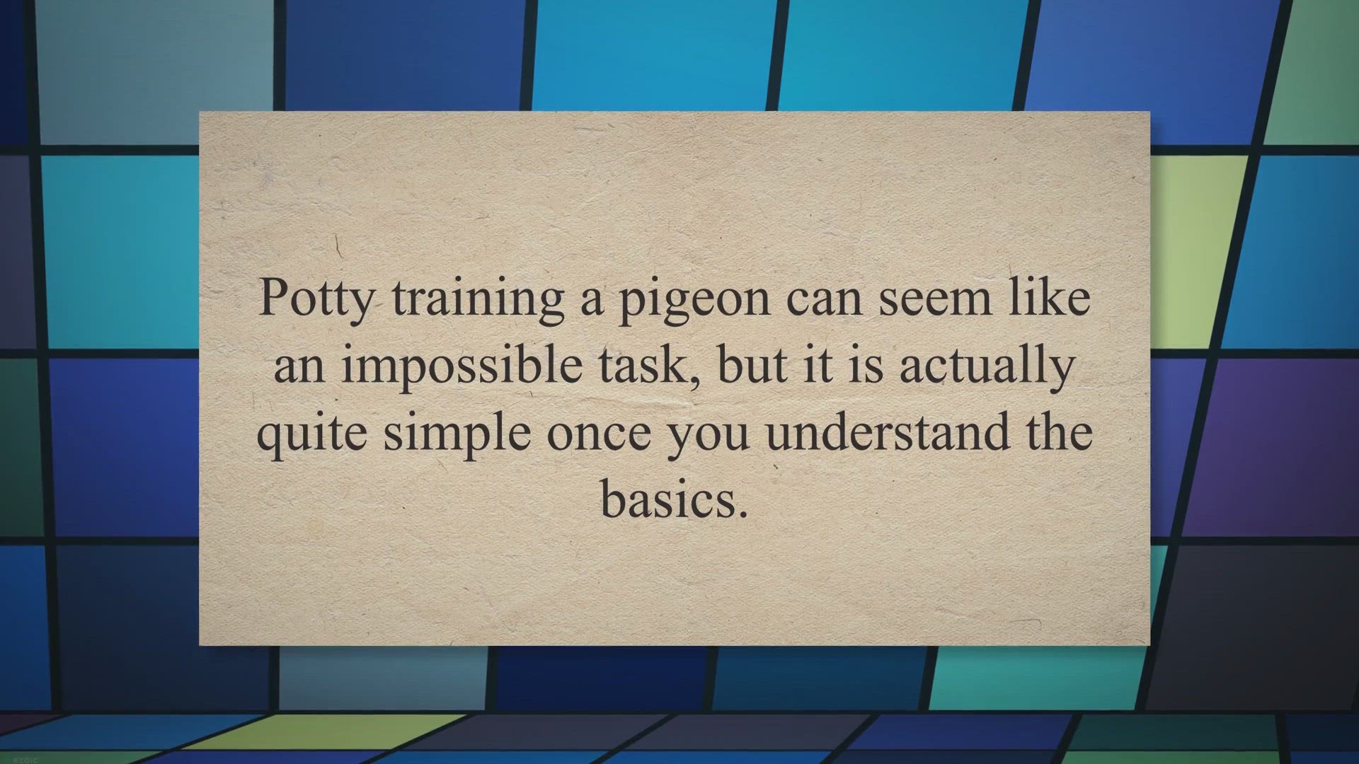 Video thumbnail for Uncovering the Secrets of Potty Training Pigeons: A Step-by-Step Guide