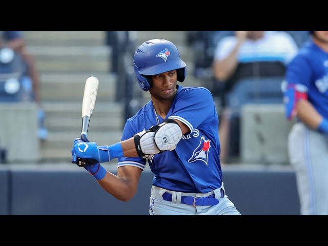 Video thumbnail for Arjun Nimmala 2025 Minor League Highlights! (Mid-Season)