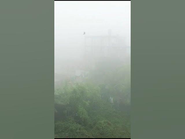Video thumbnail for Mousam ki dekho kitna osara #winterspecial #fog #goodmorning #naturalview