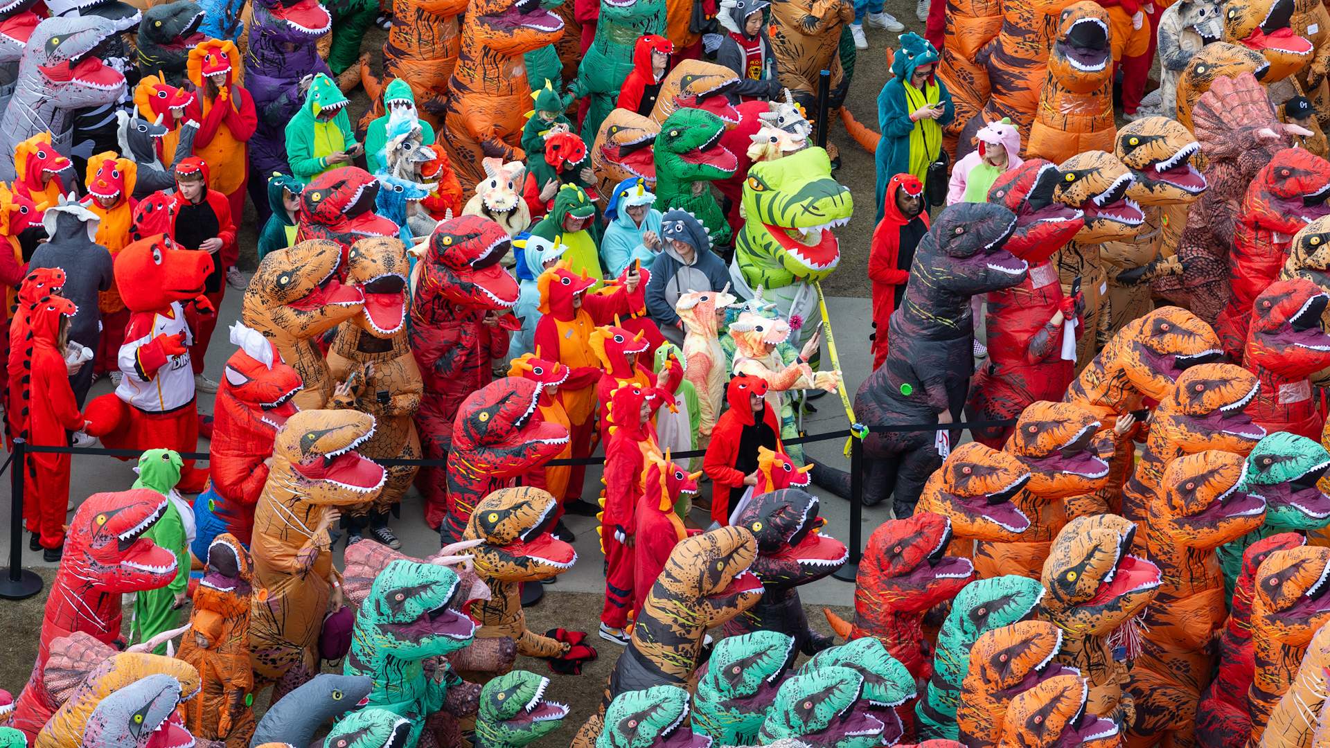 Video thumbnail for Largest gathering of people dressed as dinosaurs - 682 at the University of Calgary