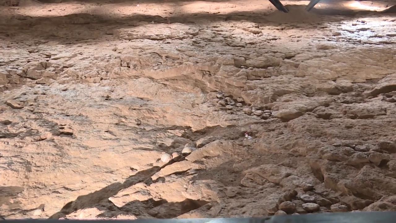 Video thumbnail for China: Hubei dinosaur egg site undergoes non-invasive 'heart checkup' scan.