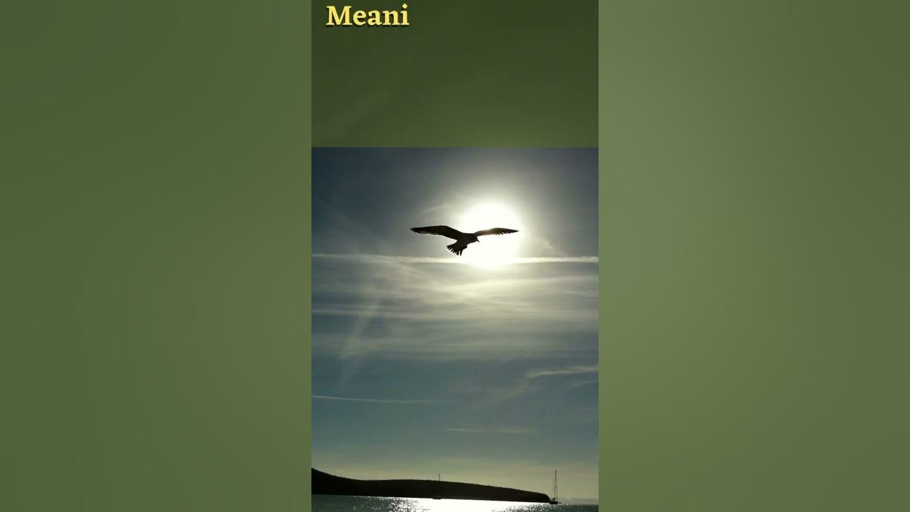 Video thumbnail for The Secret to lead a Joyous life #Shorts