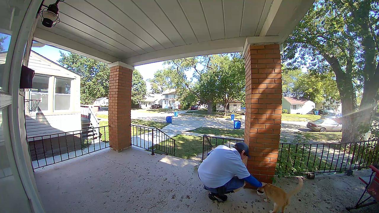 Video thumbnail for Kind Mailman Feeds a Friendly Stray Cat