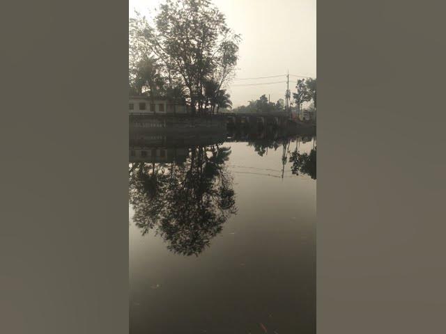 Video thumbnail for #nature #shorts #tista_bridge