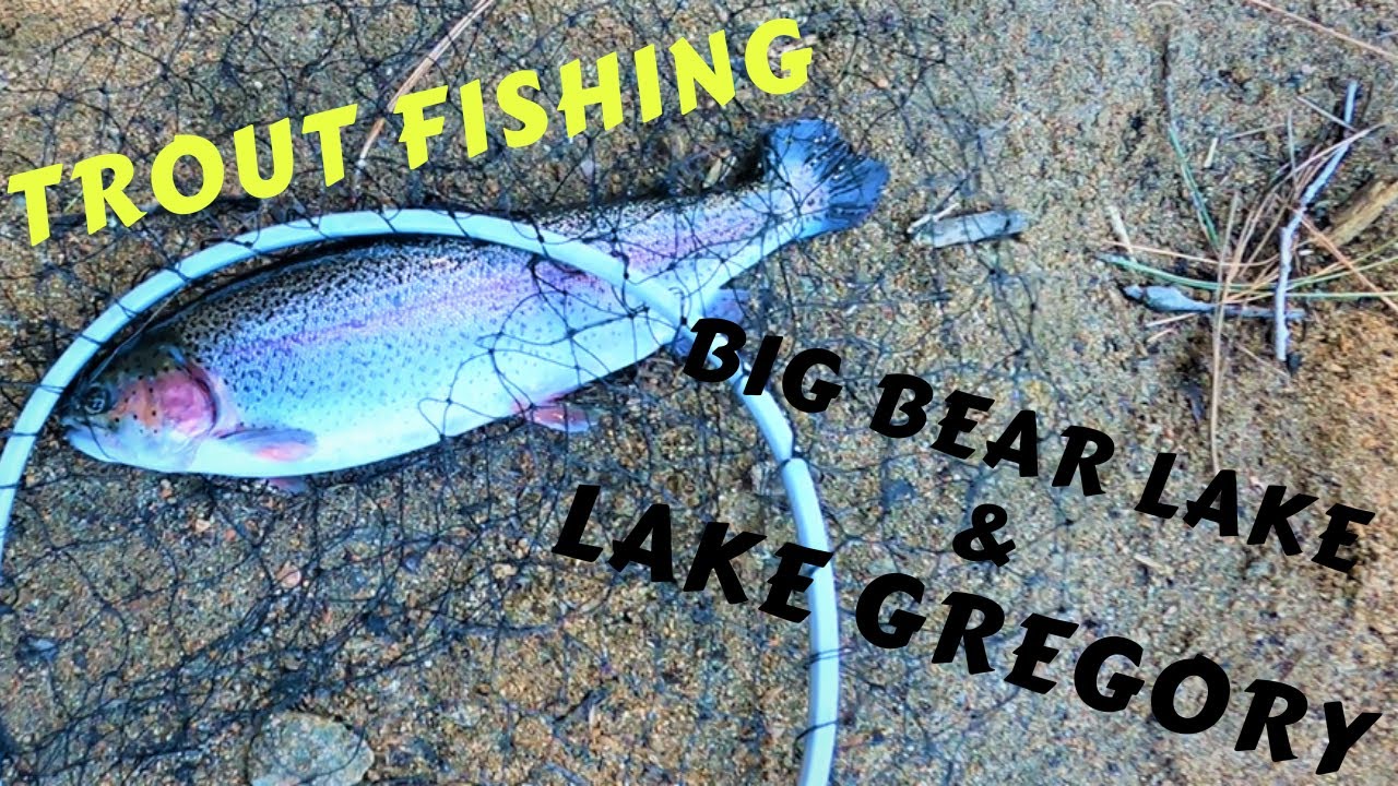 Video thumbnail for Lake Gregory & Big Bear Lake || Fall Trout Fishing