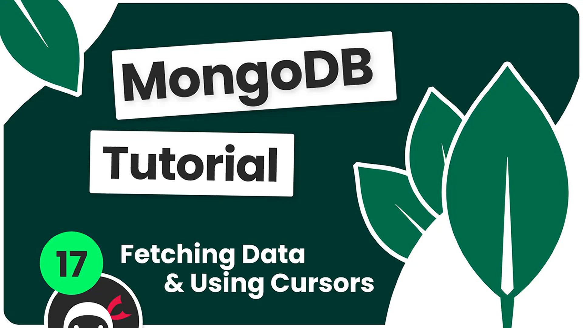 'Video thumbnail for Complete MongoDB Tutorial #17 - Cursors & Fetching Data'