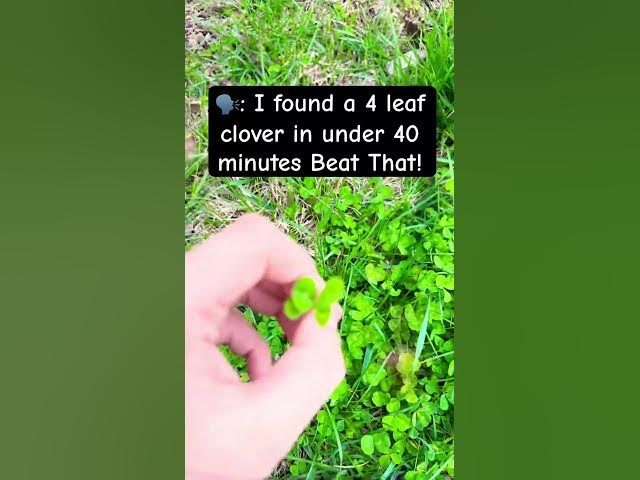 Video thumbnail for 4 leaf clovers #luck #march
