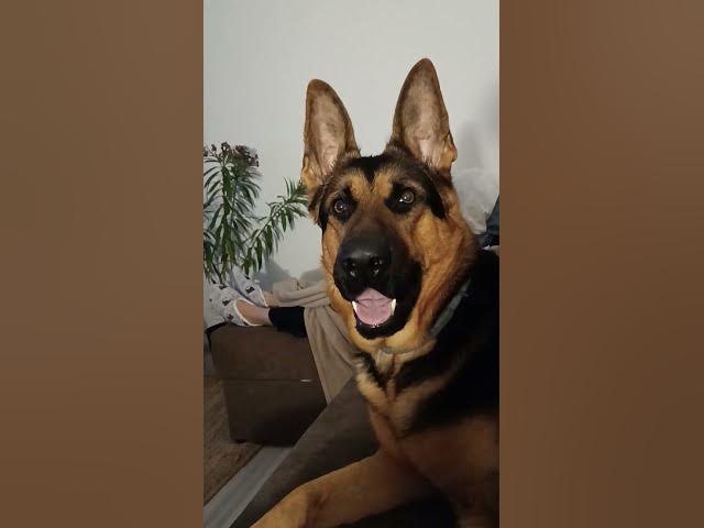 Video thumbnail for GSD 101 VID 20231128 180348