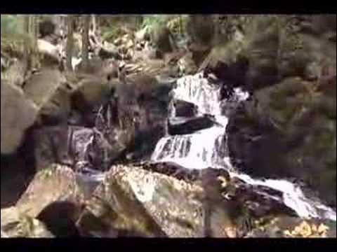 Video thumbnail for New Hampshire