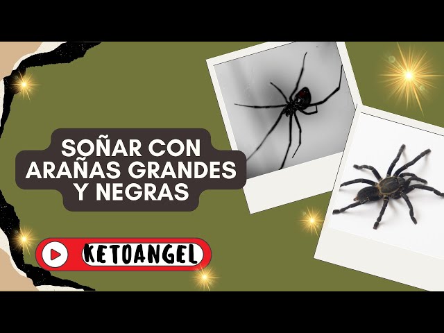 'Video thumbnail for Significado espiritual de soñar con arañas grandes y negras'