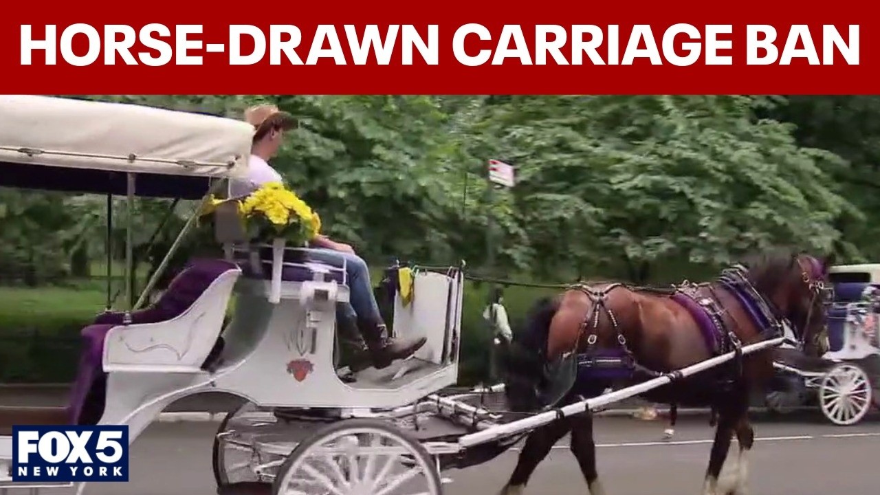 Video thumbnail for NYC Council votes to ban horse-drawn carriages
