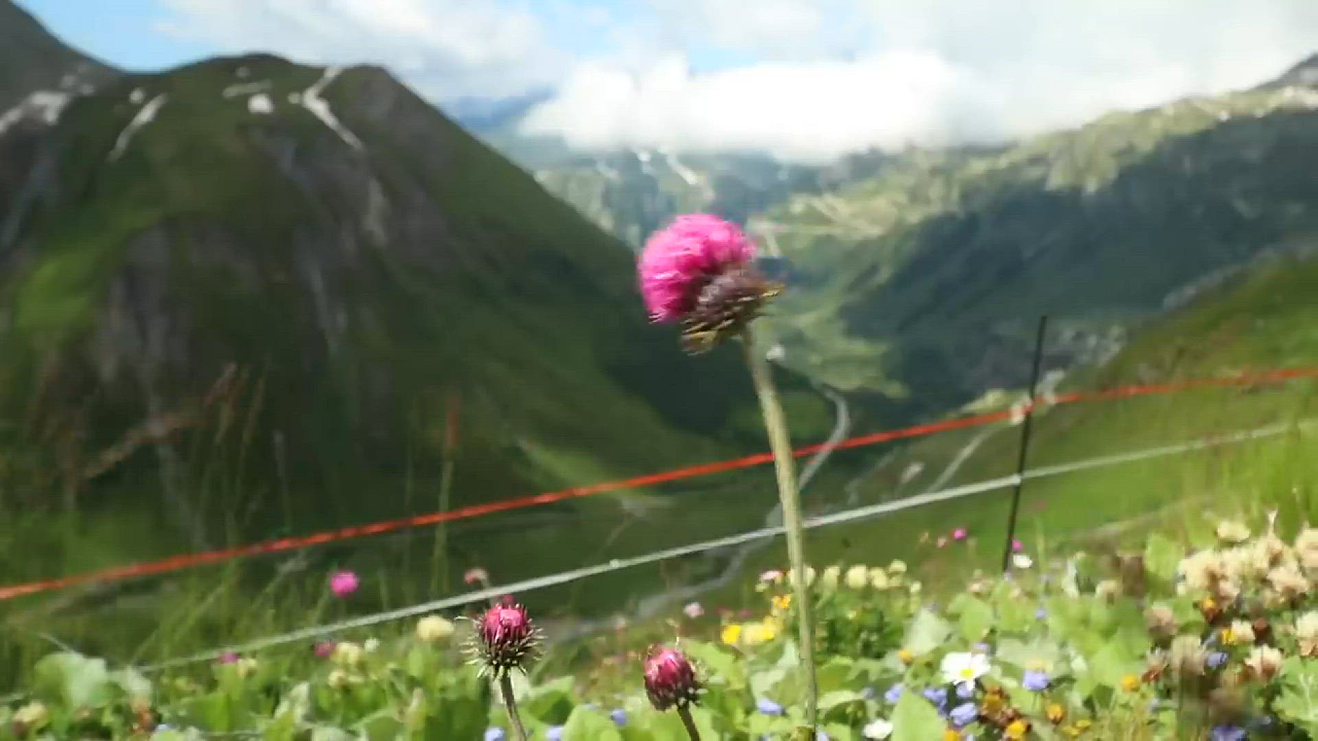 'Video thumbnail for Suíça: Um País Quase Perfeito para Viver e Viajar! 🇨🇭✨'