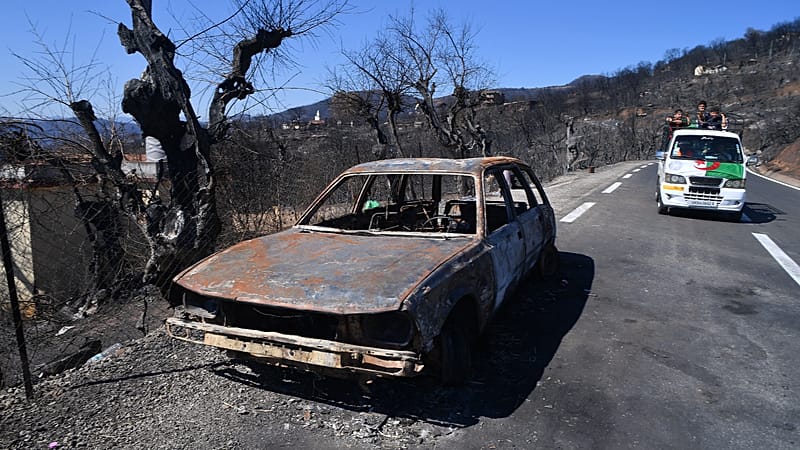 Video thumbnail for Amnesty calls on Algeria to abandon death penalty plans for wildfires