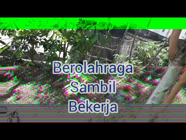 Video thumbnail for Inspirasi Cara Memanfaatkan Lahan Sempit Sambil Berolahraga Dalam Mengisi Waktu Luang