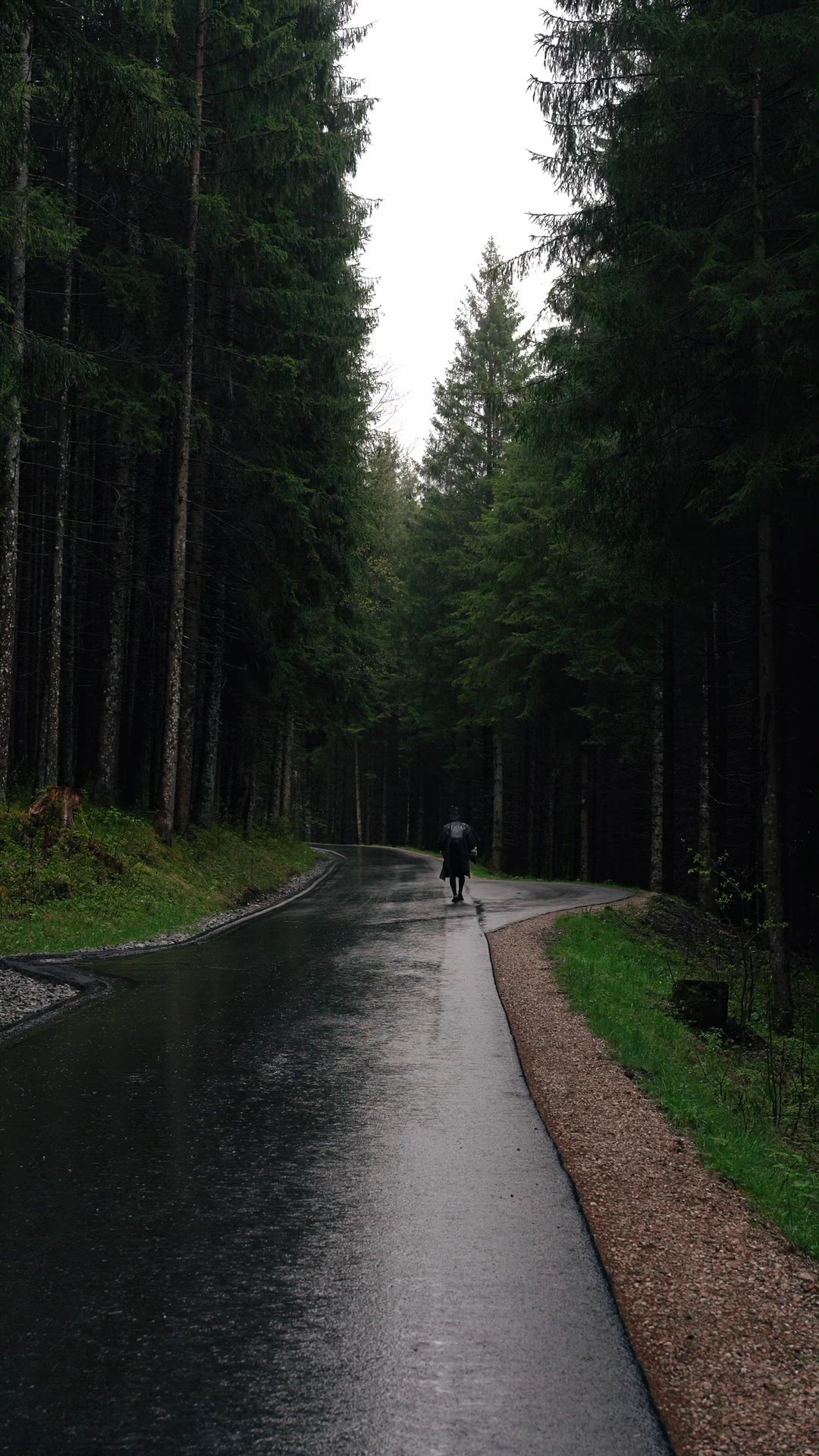 Video thumbnail for Nature