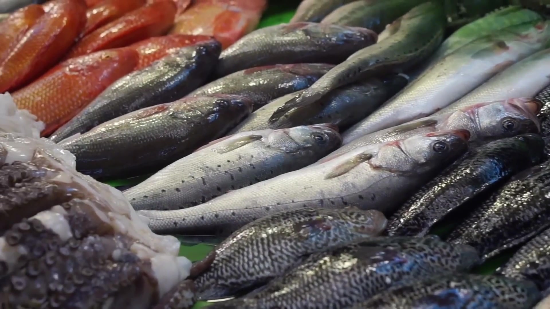 Video thumbnail for You May Be Eating Cheap Fish, Here's How To Tell