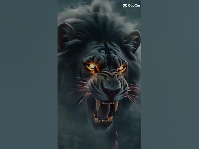 Video thumbnail for Best in Reggae Music