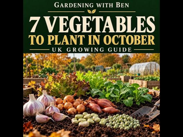 Video thumbnail for 7 Vegetables You Can Still Plant in October in the UK | Autumn Growing Guide