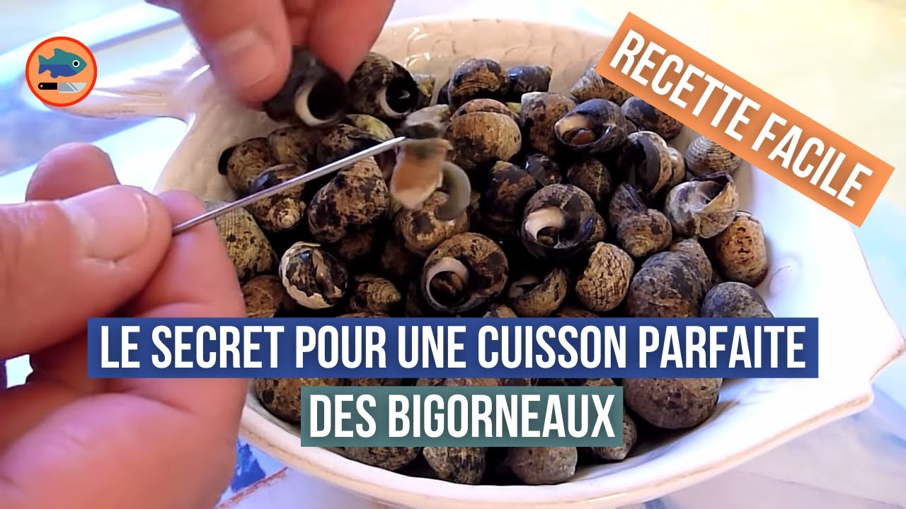 Video thumbnail for Cuisson des bigorneaux (recette facile)