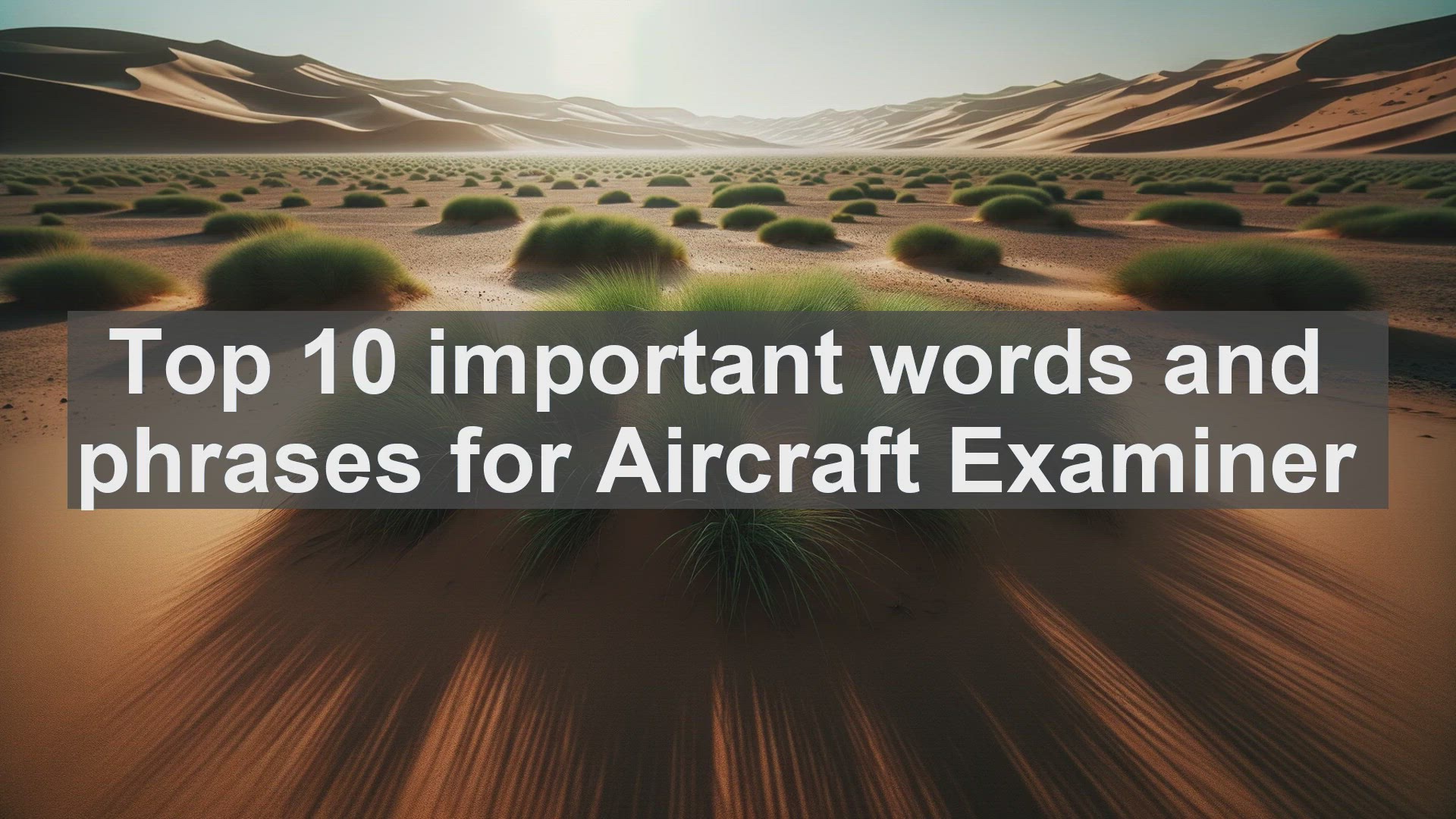 'Video thumbnail for Top 10 important words and phrases for Aircraft Examiner'