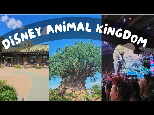 Video thumbnail for Animal Kingdom With a Toddler: Disney World Family Vlog