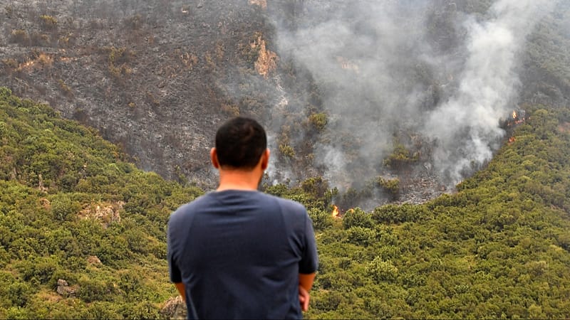Video thumbnail for Algeria moves to restore death penalty for deliberate forest fires