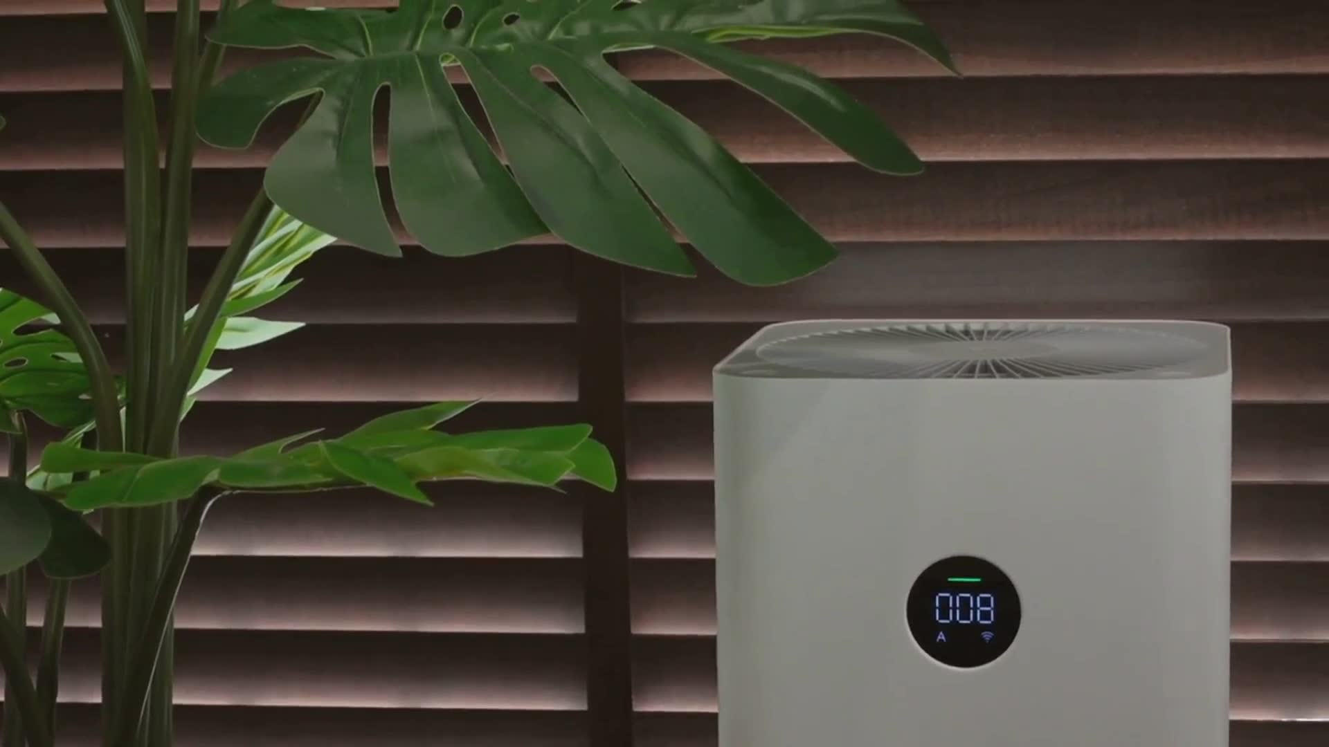 'Video thumbnail for Revolutionize Your Home's Air Quality'
