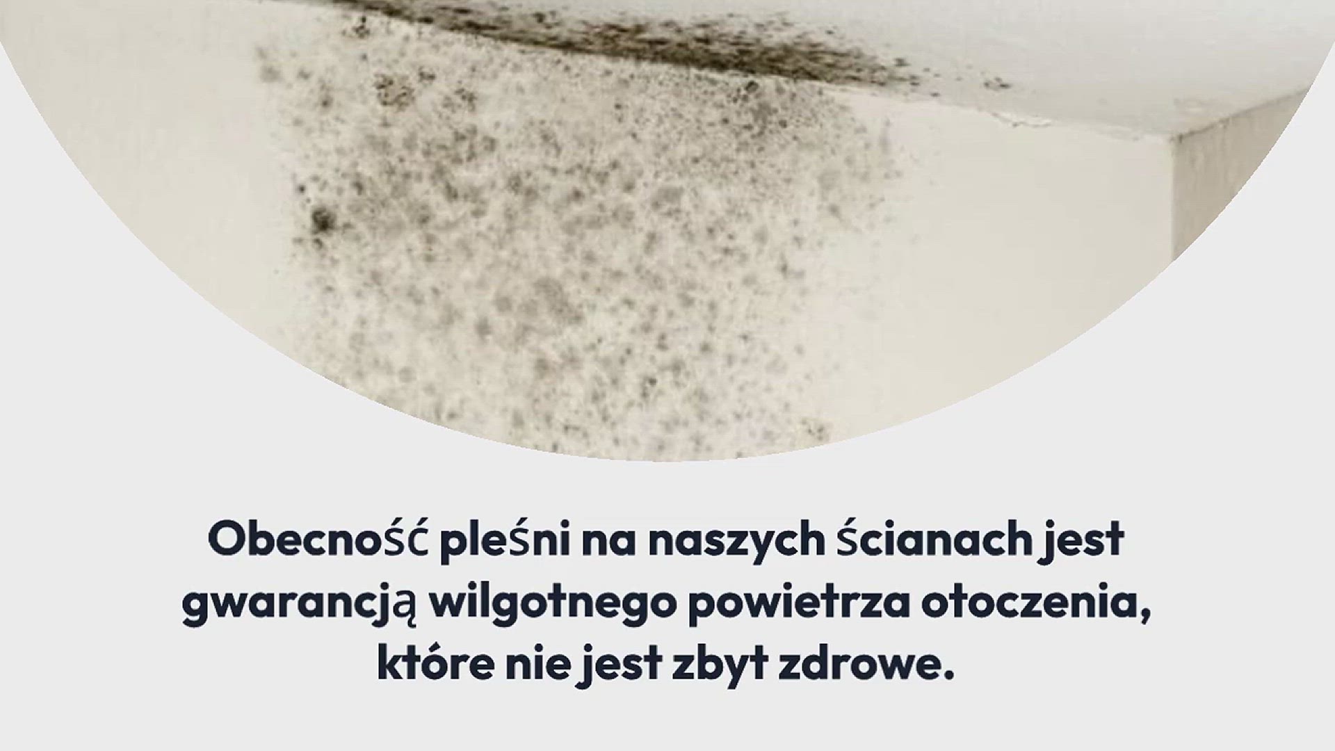 Video thumbnail for Jak wyeliminować wilgoć i pleśń za pomocą prostego i skutecznego środka?