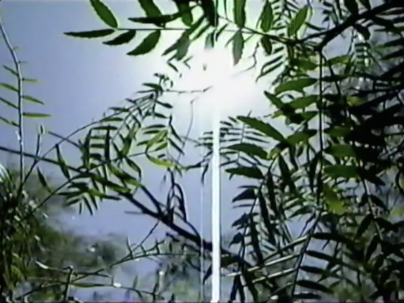 Video thumbnail for Summer Hike