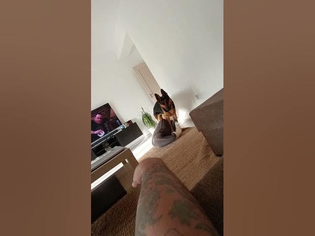 Video thumbnail for GSD 101 VID 20230925 173846