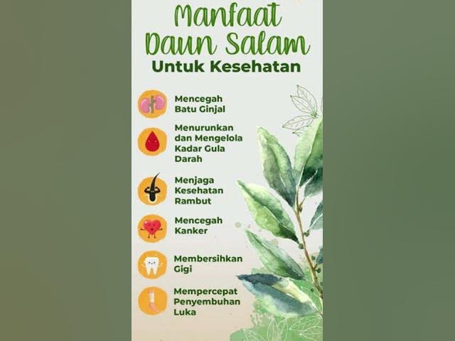 Video thumbnail for Khasiat daun salam.#shorts
