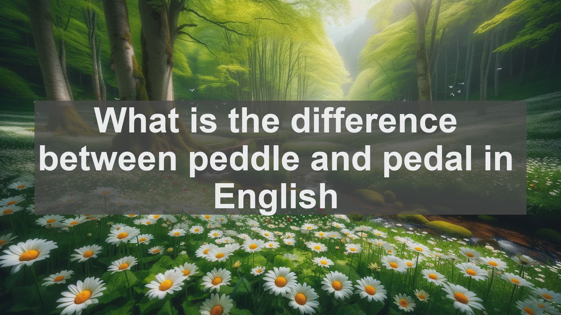 'Video thumbnail for What is the difference between peddle and pedal in English?'