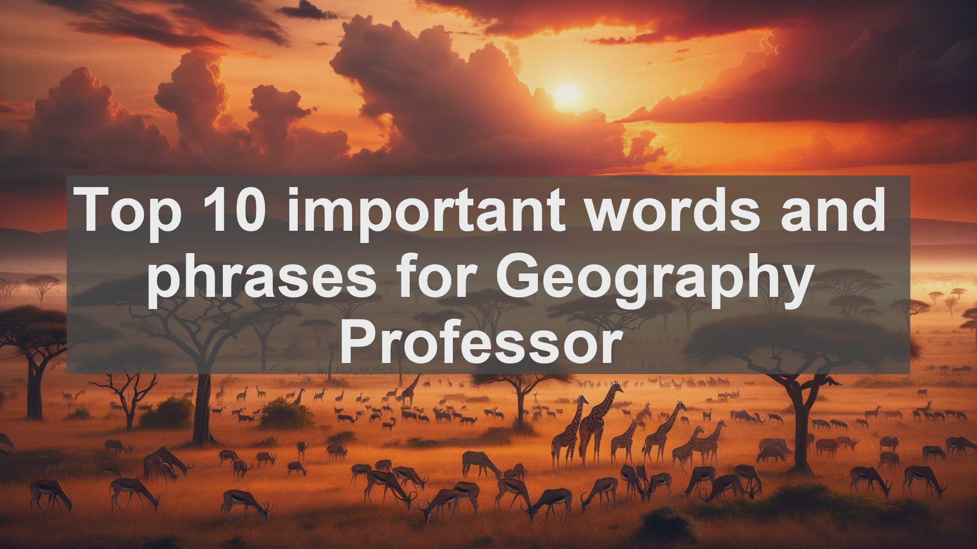 'Video thumbnail for Top 10 important words and phrases for Geography Professor'