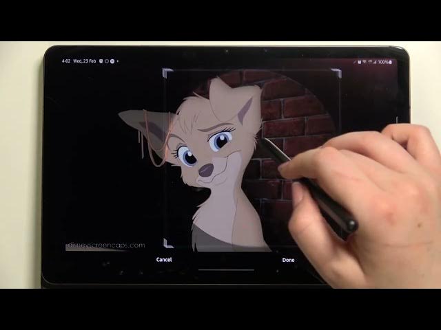 Video thumbnail for How to Add Photo to Contact in SAMSUNG Galaxy Tab S8 – Customize Contact List