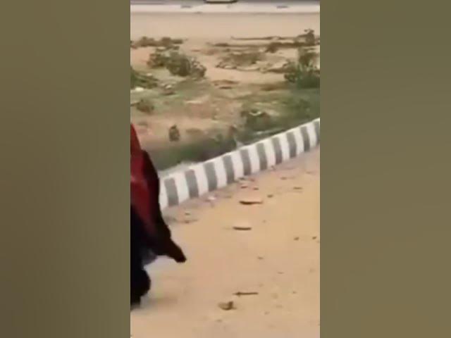 Video thumbnail for اگر تمہاری وجہ سے کسی بہن یا بیٹی کو راستہ بدلنا پڑے تو تم اور ک  ت  ے میں کوئی فرق نہیں | #yt #reel
