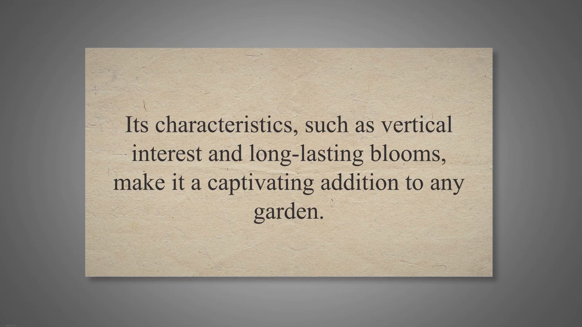 Video thumbnail for Pecher Peony: The Peach of the Garden