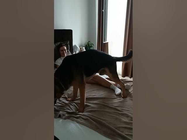 Video thumbnail for GSD 101 VID 20230917 153801