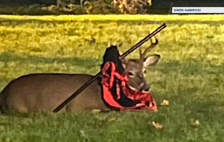 Video thumbnail for Residents seek help for buck entangled in debris in Midland Park