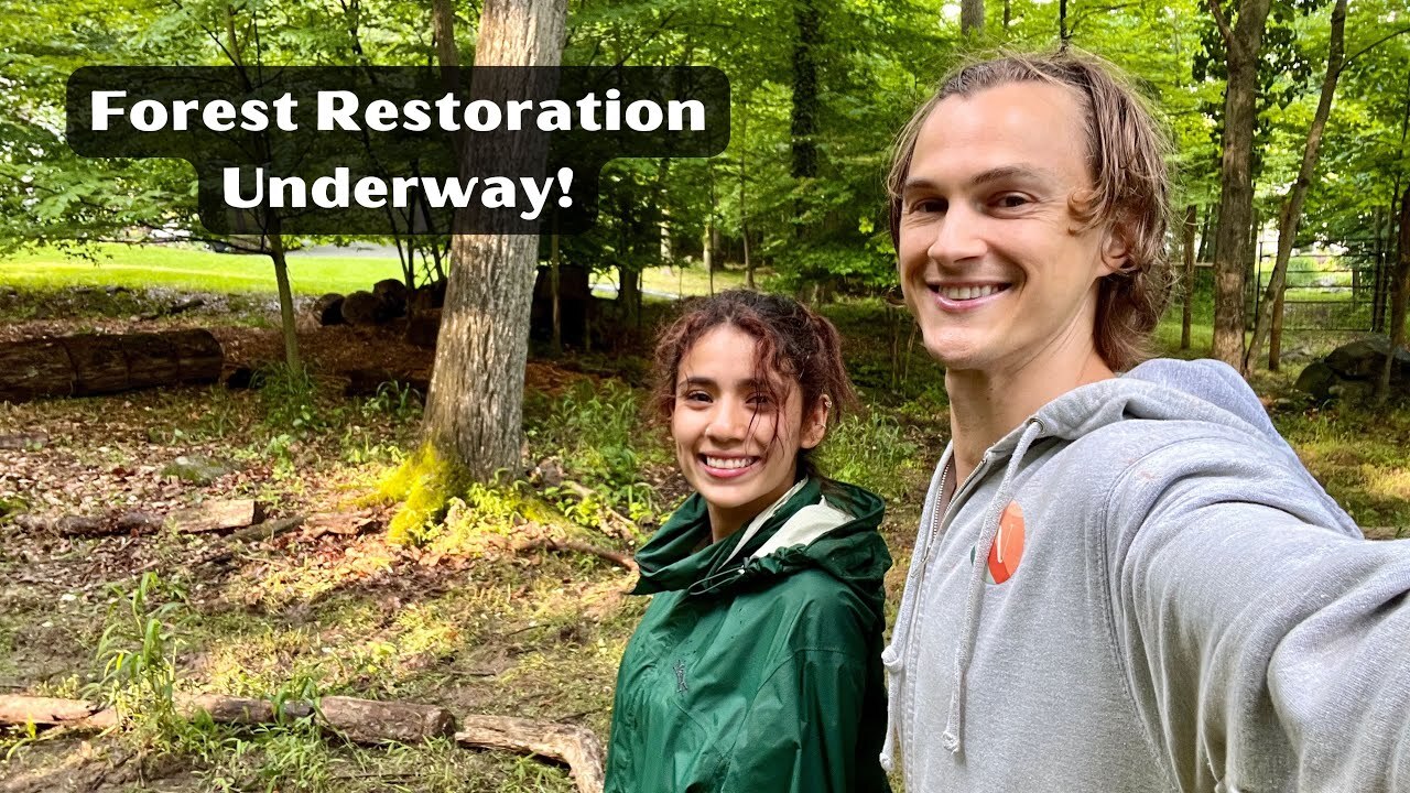 Video thumbnail for Look What We Found! Restoring our Forest, Removing Invasives, Planting Native Plants - How We did it