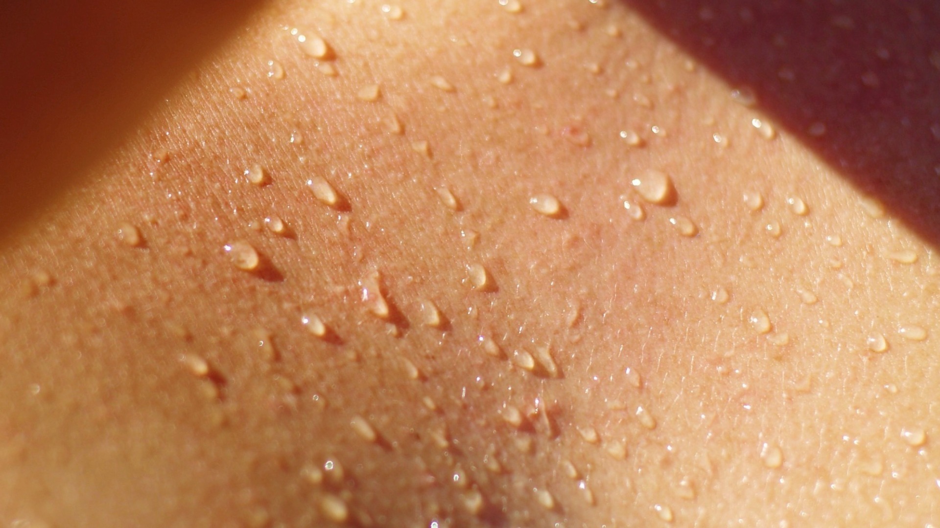 Video thumbnail for Mars architecture: could a 'blood, sweat and tears' material outdo concrete?