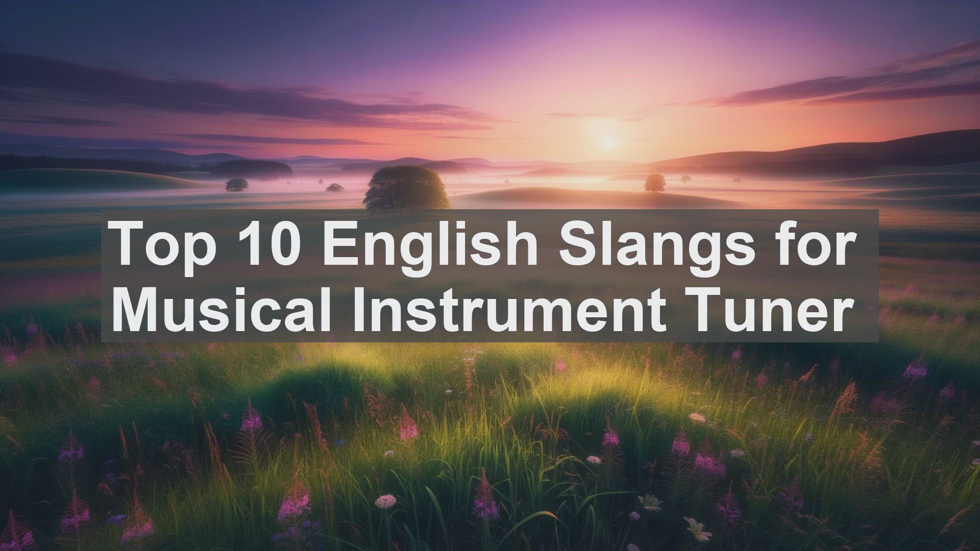 'Video thumbnail for Top 10 English Slangs for Musical Instrument Tuner'