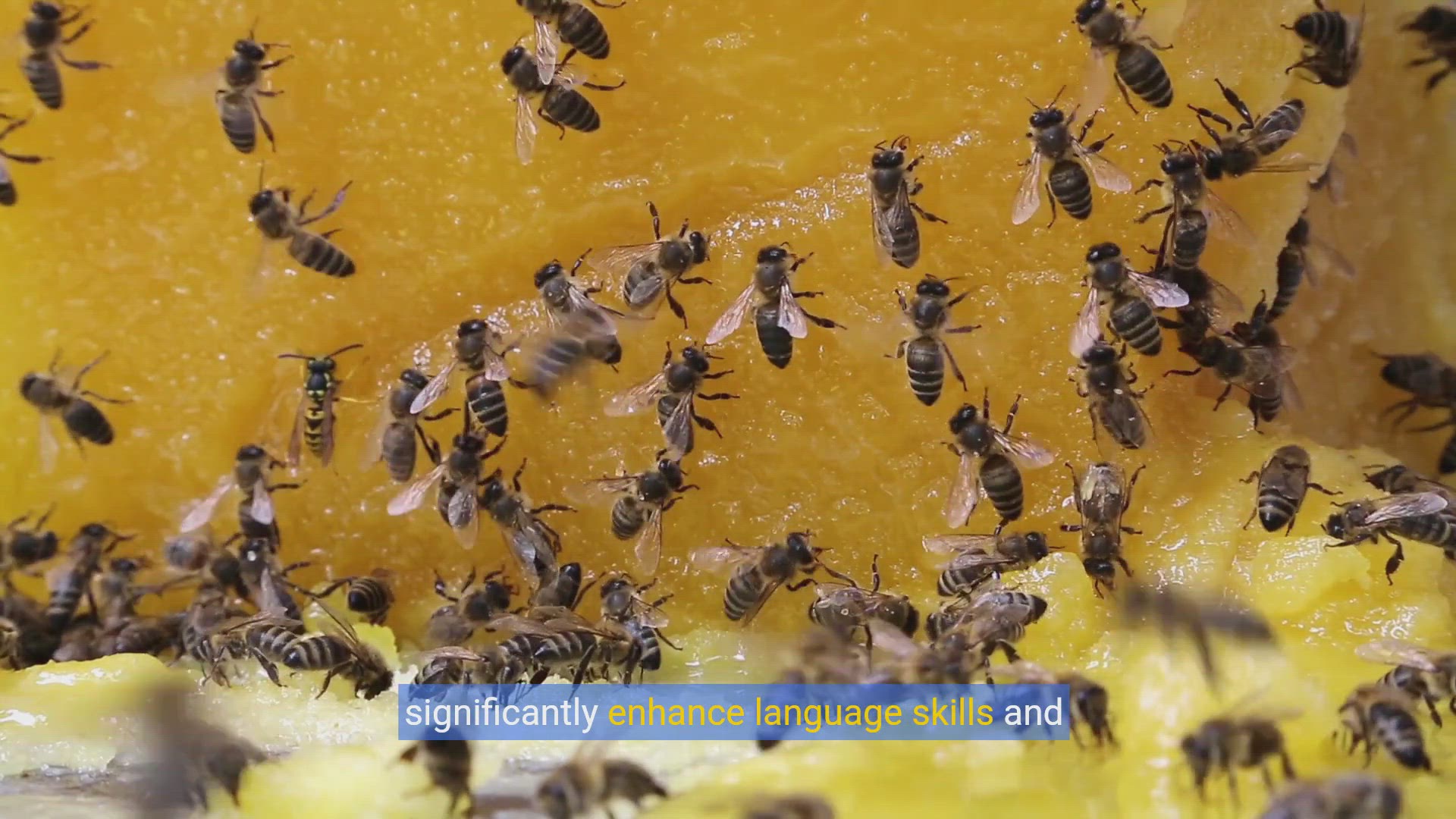 'Video thumbnail for The Power of Words: How Spelling Bees Enhance Language Skills'
