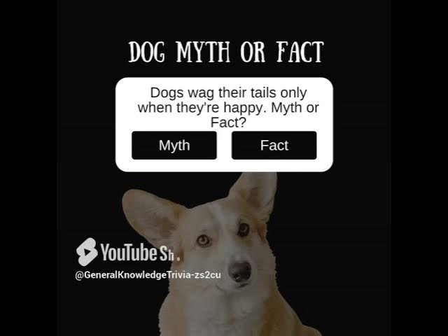 Video thumbnail for updated