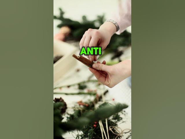 Video thumbnail for 5 Amazing Home Remedies for Kennel Cough #herbalremedies  #doglovers #homeremedies