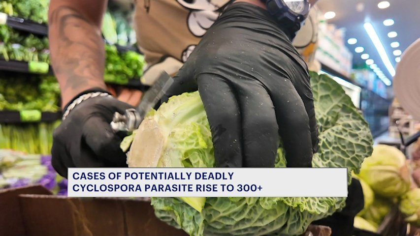 Video thumbnail for Cases of cyclospora parasite linked to fresh produce, swimming pools on the rise citywide