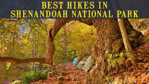 'Video thumbnail for 10 Best Hikes In Shenandoah National Park'